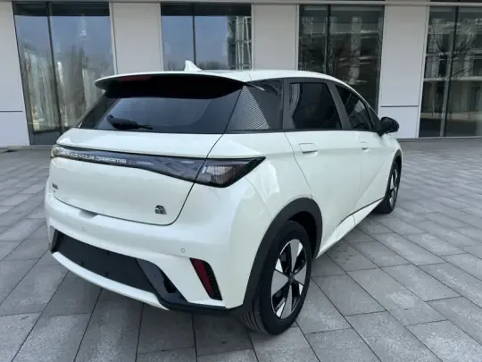BYD Dolphin 2023 (37100 км)