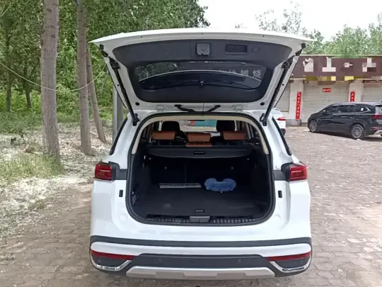 Bestune T99 2023 (41300 км)