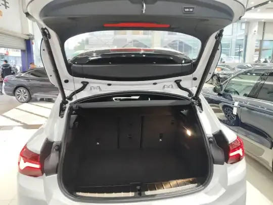 BMW X2 2023 (37900 км)