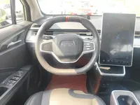 NETA V 2022 (69200 км)
