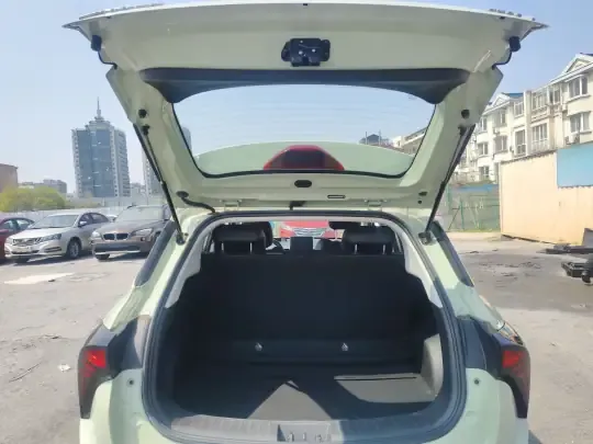 NETA V 2022 (69200 км)