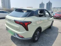 NETA V 2022 (69200 км)