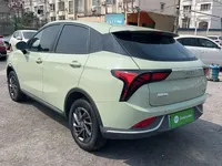 NETA V 2022 (69200 км)