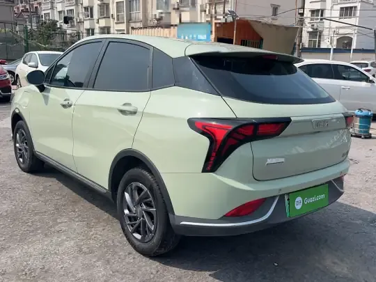 NETA V 2022 (69200 км)