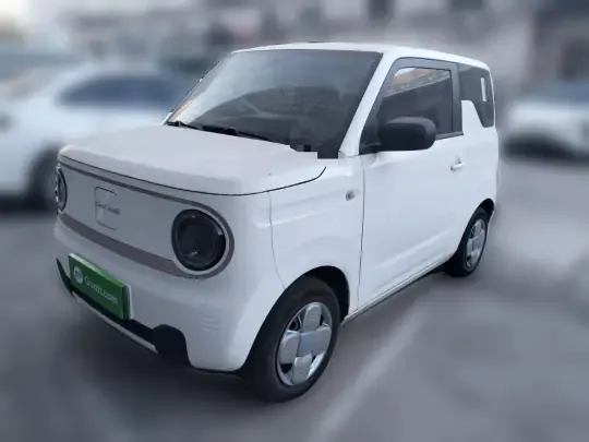Geely Galaxy Panda 2023 (33100 км)