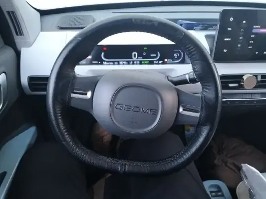 Geely Galaxy Panda 2023 (33100 км)