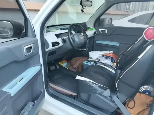 Geely Galaxy Panda 2023 (33100 км)
