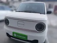 Geely Galaxy Panda 2023 (33100 км)