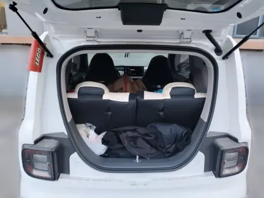Geely Galaxy Panda 2023 (33100 км)