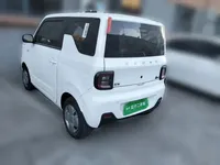 Geely Galaxy Panda 2023 (33100 км)