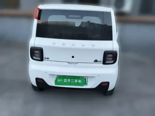 Geely Galaxy Panda 2023 (33100 км)