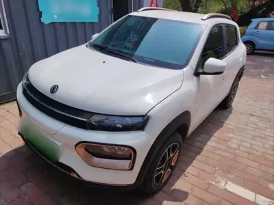 Dongfeng NAMMI BOX 2022 (29100 км)