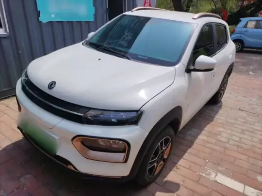 Dongfeng NAMMI BOX 2022 (29100 км)