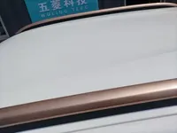 Dongfeng NAMMI BOX 2022 (29100 км)