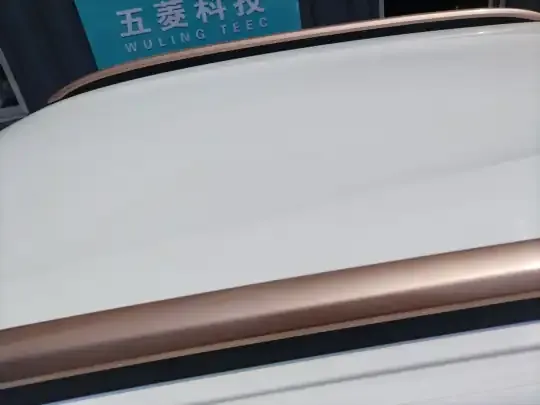 Dongfeng NAMMI BOX 2022 (29100 км)