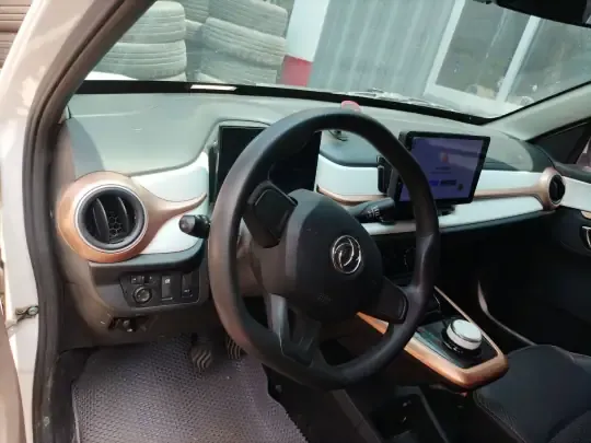 Dongfeng NAMMI BOX 2022 (29100 км)