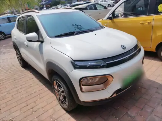 Dongfeng NAMMI BOX 2022 (29100 км)