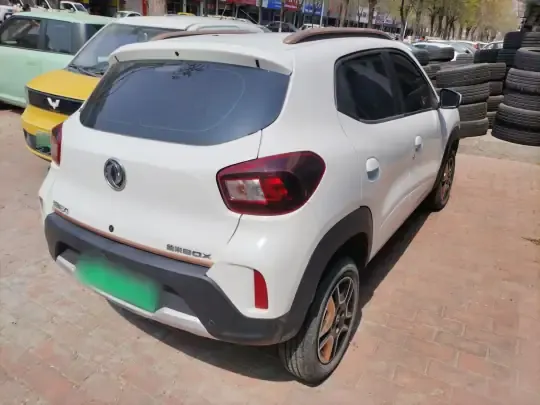 Dongfeng NAMMI BOX 2022 (29100 км)