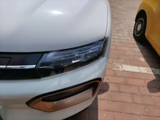 Dongfeng NAMMI BOX 2022 (29100 км)