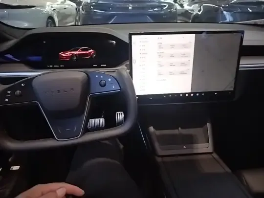 Tesla Model S 2023 (50199 км)