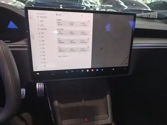 Tesla Model S 2023 (50199 км)