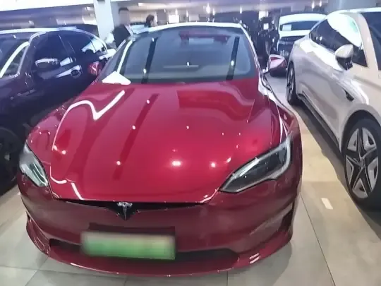 Tesla Model S 2023 (50199 км)
