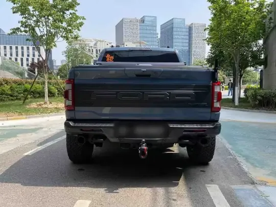 Ford F-150 Raptor 2023 (17600 км)