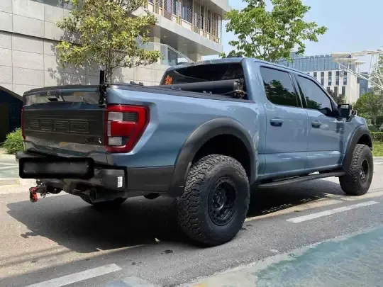 Ford F-150 Raptor 2023 (17600 км)