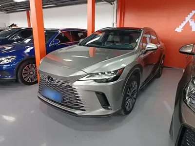 Lexus RX 2023 (29600 км)