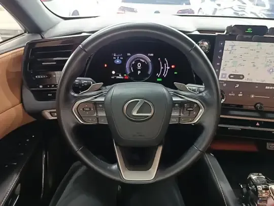 Lexus RX 2023 (29600 км)
