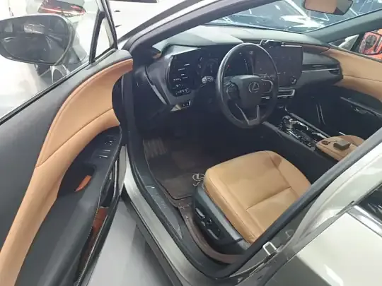 Lexus RX 2023 (29600 км)