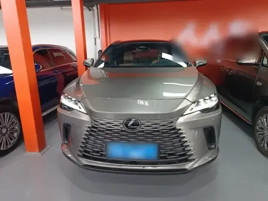 Lexus RX 2023 (29600 км)