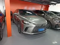 Lexus RX 2023 (29600 км)