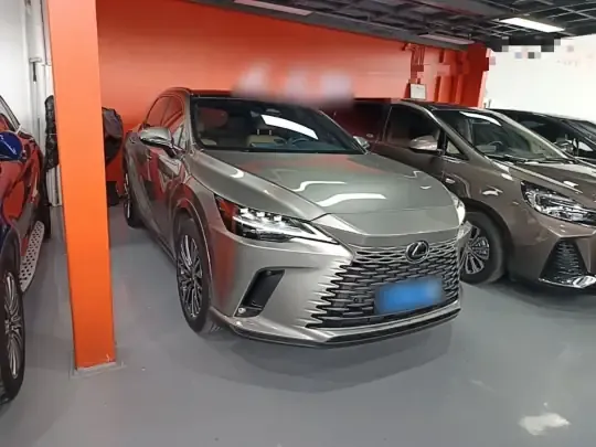 Lexus RX 2023 (29600 км)