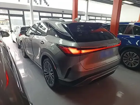 Lexus RX 2023 (29600 км)