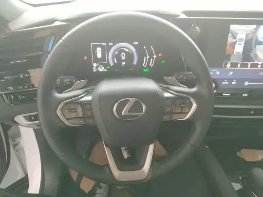 Lexus RX 2023 (14800 км)