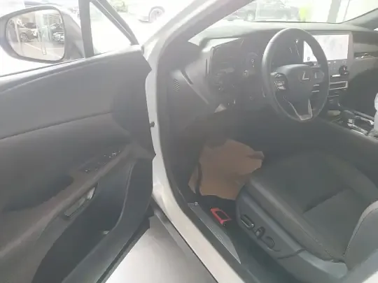 Lexus RX 2023 (14800 км)