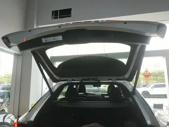 Lexus RX 2023 (14800 км)