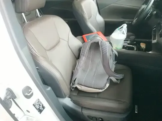 Lexus RX 2023 (14800 км)