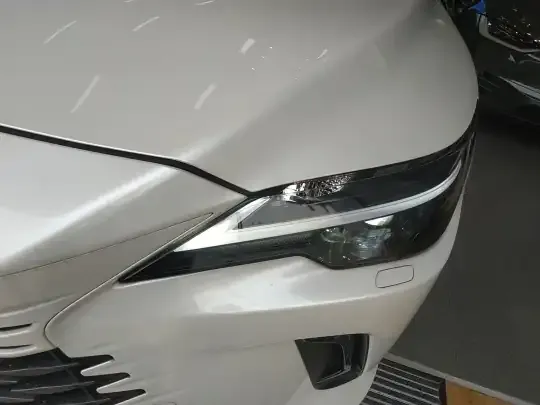 Lexus RX 2023 (14800 км)