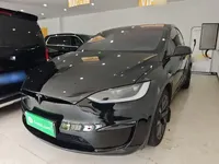 Tesla Model X 2023 (30000 км)
