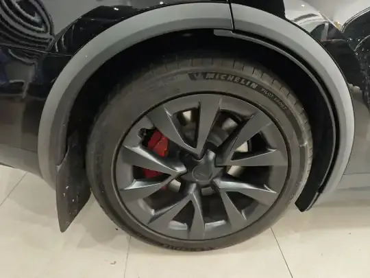 Tesla Model X 2023 (30000 км)