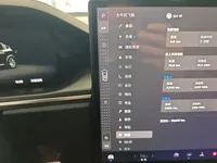 Tesla Model X 2023 (30000 км)