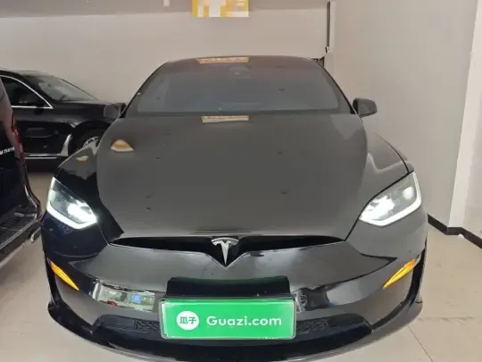 Tesla Model X 2023 (30000 км)