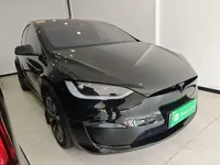 Tesla Model X 2023 (30000 км)