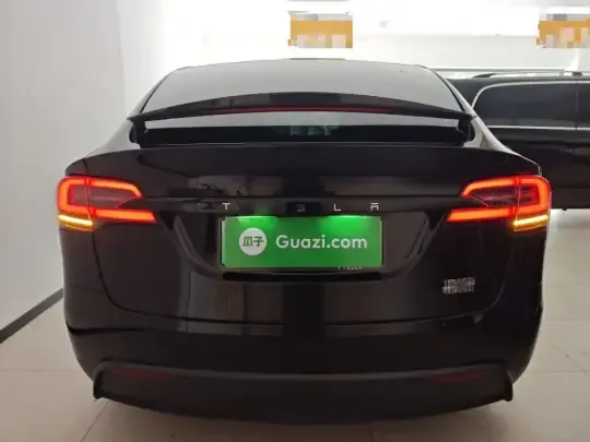 Tesla Model X 2023 (30000 км)