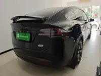 Tesla Model X 2023 (30000 км)