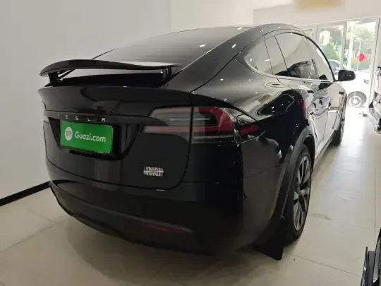 Tesla Model X 2023 (30000 км)
