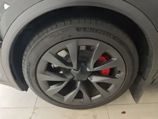 Tesla Model X 2023 (30000 км)