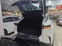 Lexus RZ 2023 (17000 км)